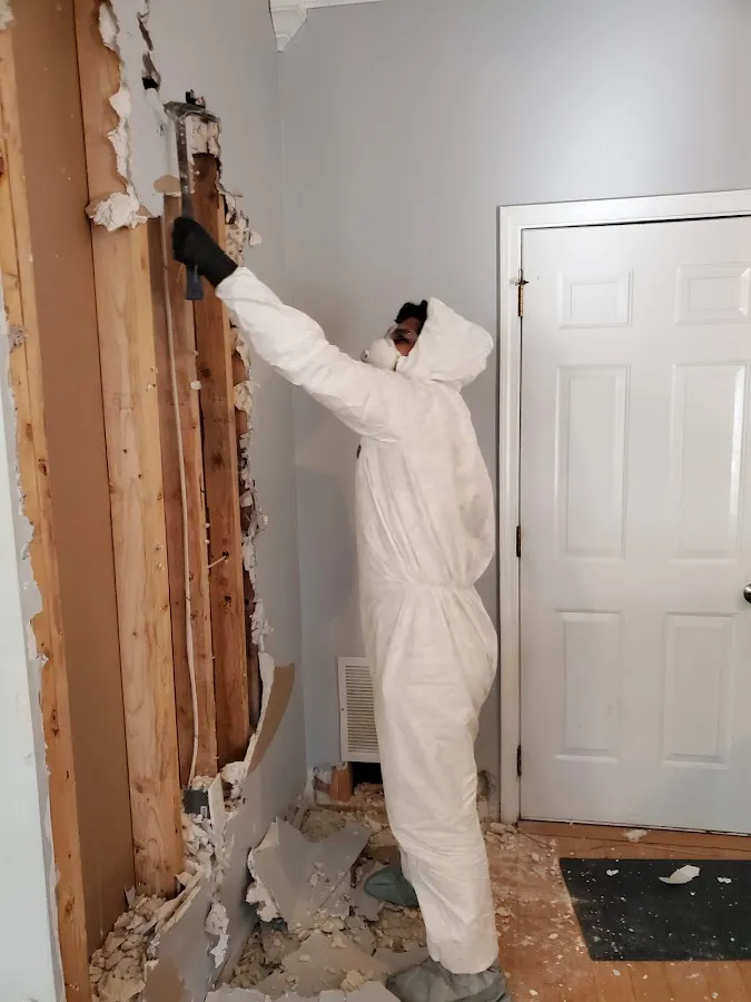 Water Damage Restoration services in Orange Cove, CA